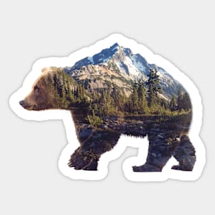 Bear Sticker